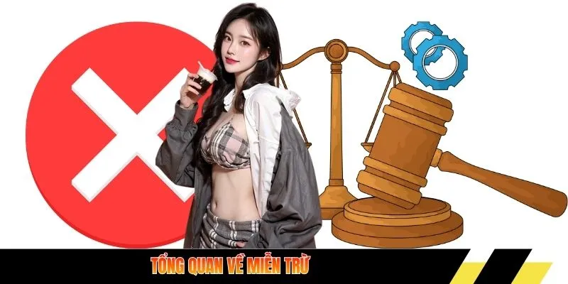 Tổng quan về miễn trừ trách nhiệm